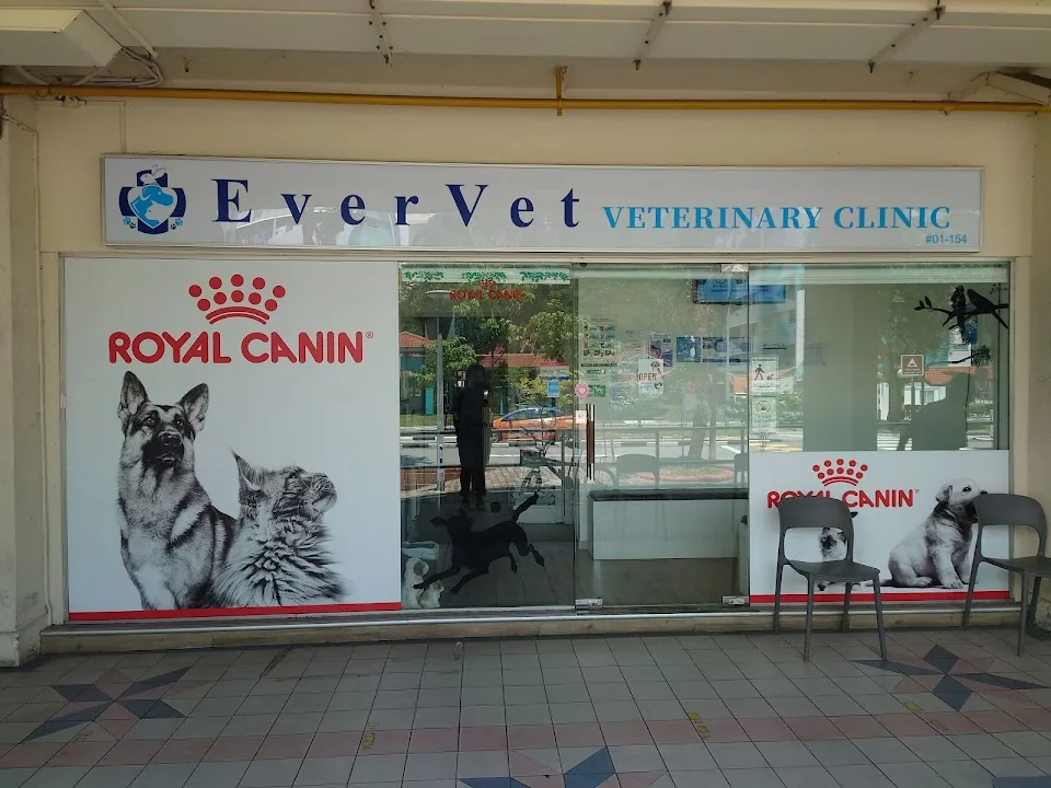 Island Veterinary Clinic (Bedok)
