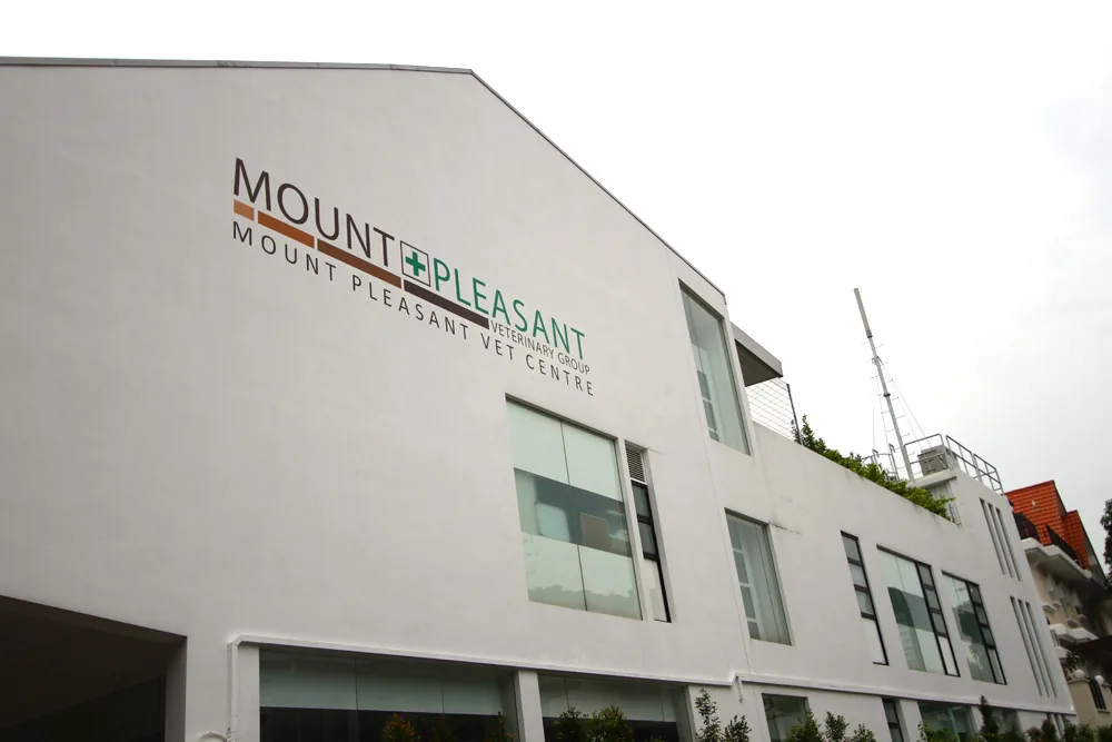 Mount Pleasant Veterinary Centre (Gelenggang)