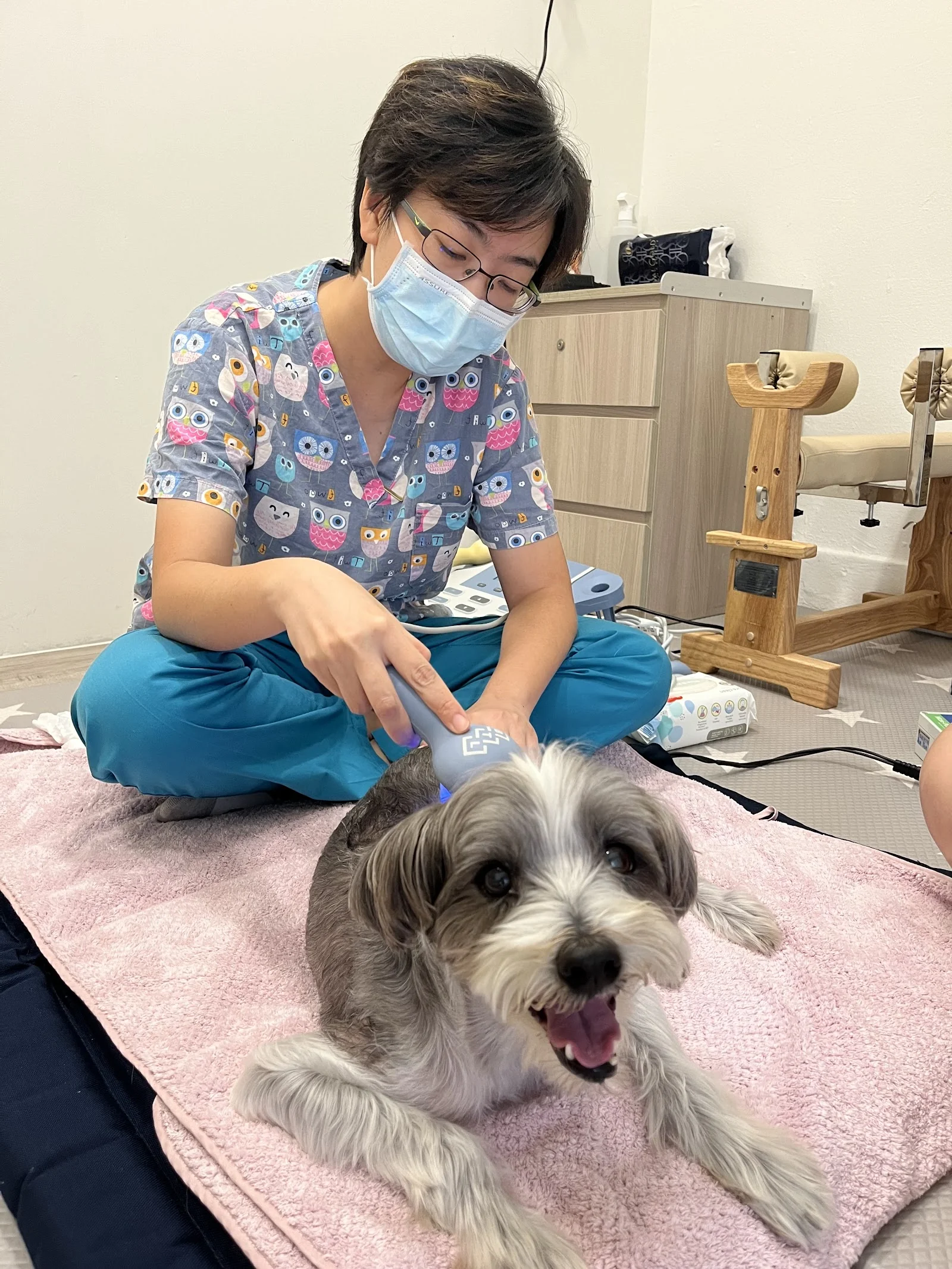Sora Vet